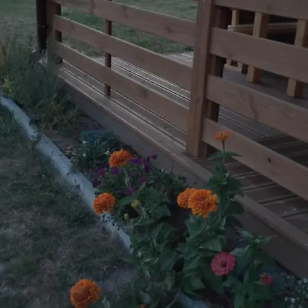 Prázdninový dům Letniskowy Ze Stawem *